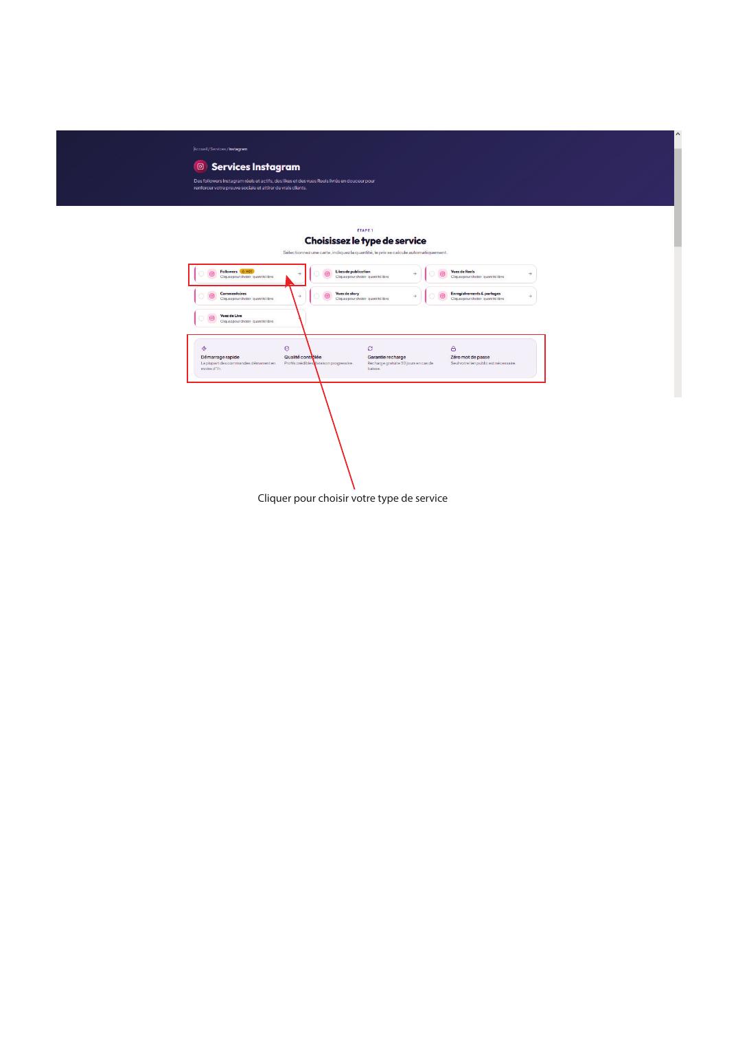 Choix du type de service pour un réseau social sur BoostAfrique