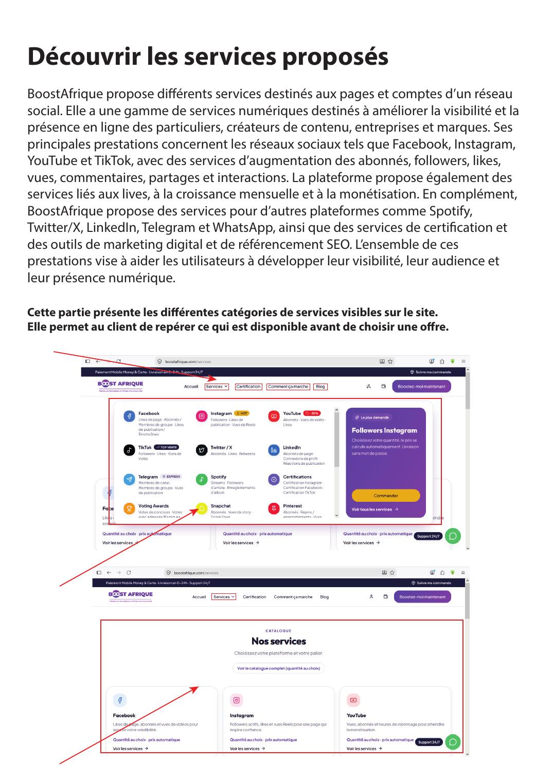 Catalogue des services BoostAfrique classés par réseau social