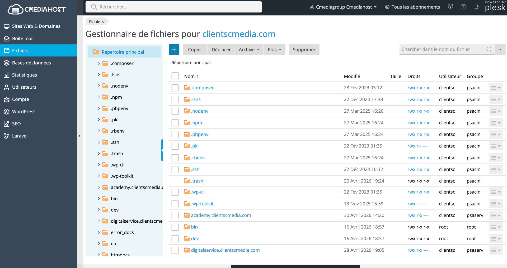 Gestionnaire de fichiers Plesk Cmediahost